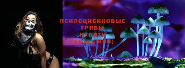 крисы Осташков
