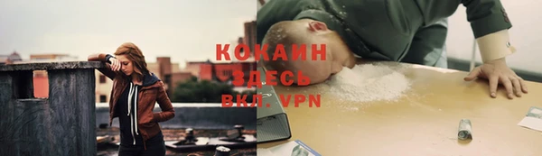 крисы Осташков